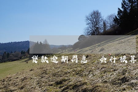 贷款逾期罚息 会计核算 贷款逾期罚息 会计核算